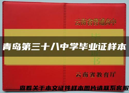 青岛第三十八中学毕业证样本缩略图