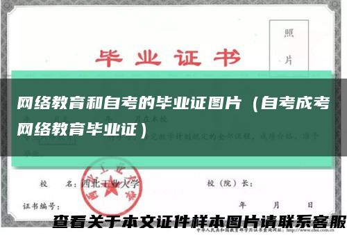 网络教育和自考的毕业证图片（自考成考网络教育毕业证）缩略图