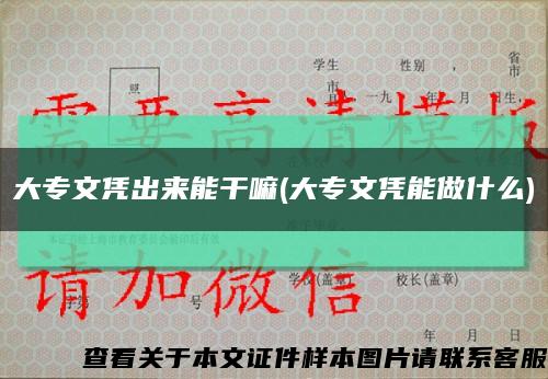 大专文凭出来能干嘛(大专文凭能做什么)缩略图