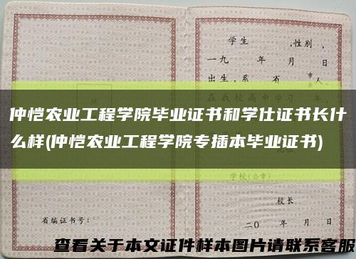 仲恺农业工程学院毕业证书和学仕证书长什么样(仲恺农业工程学院专插本毕业证书)缩略图