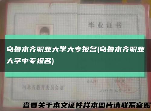 乌鲁木齐职业大学大专报名(乌鲁木齐职业大学中专报名)缩略图