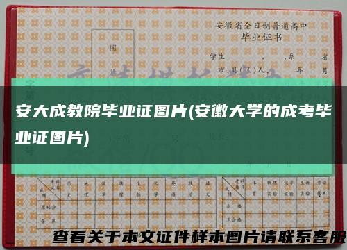 安大成教院毕业证图片(安徽大学的成考毕业证图片)缩略图