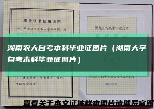 湖南农大自考本科毕业证图片（湖南大学自考本科毕业证图片）缩略图