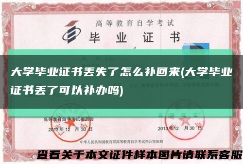 大学毕业证书丢失了怎么补回来(大学毕业证书丢了可以补办吗)缩略图