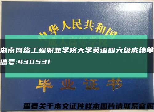 湖南网络工程职业学院大学英语四六级成绩单编号:430531缩略图