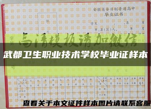 武都卫生职业技术学校毕业证样本缩略图