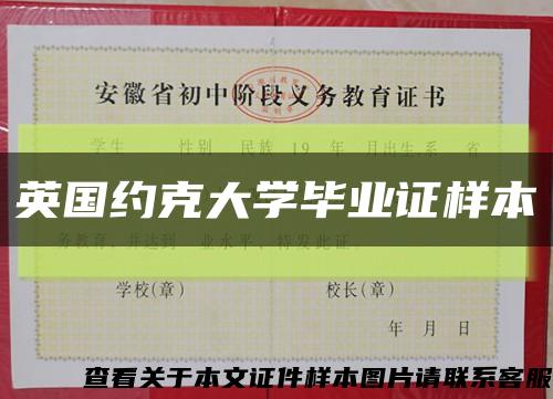 英国约克大学毕业证样本缩略图