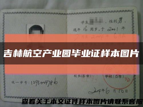 吉林航空产业园毕业证样本图片缩略图