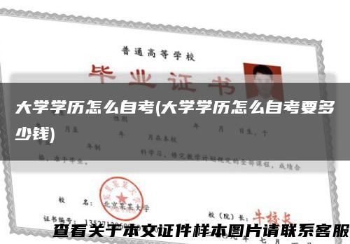 大学学历怎么自考(大学学历怎么自考要多少钱)缩略图