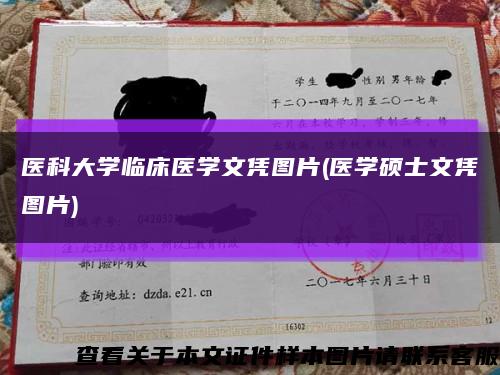 医科大学临床医学文凭图片(医学硕士文凭图片)缩略图