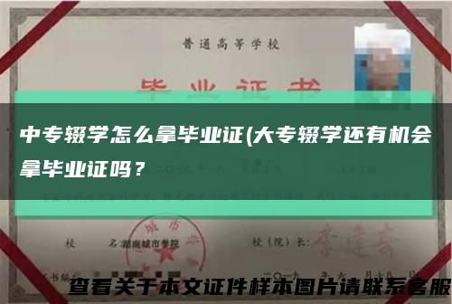 中专辍学怎么拿毕业证(大专辍学还有机会拿毕业证吗？缩略图