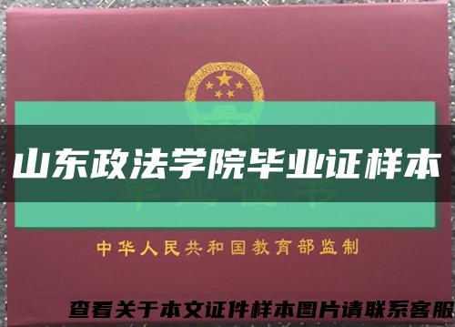 山东政法学院毕业证样本缩略图