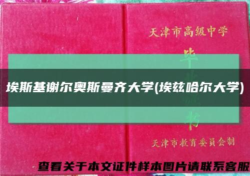 埃斯基谢尔奥斯曼齐大学(埃兹哈尔大学)缩略图