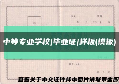 中等专业学校|毕业证|样板(模板)缩略图