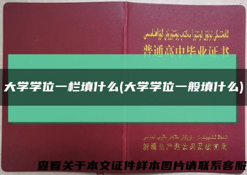 大学学位一栏填什么(大学学位一般填什么)缩略图