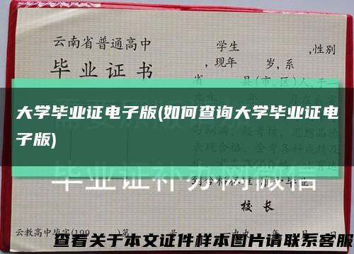 大学毕业证电子版(如何查询大学毕业证电子版)缩略图