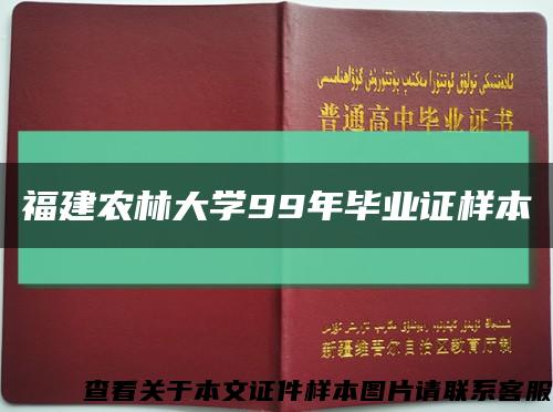 福建农林大学99年毕业证样本缩略图