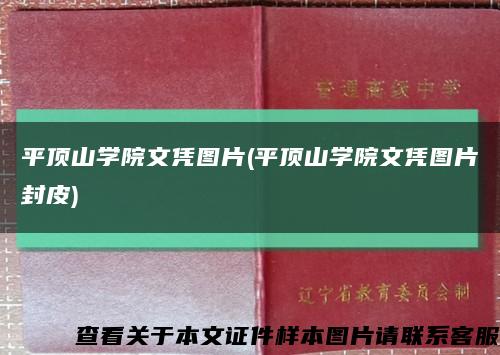 平顶山学院文凭图片(平顶山学院文凭图片封皮)缩略图