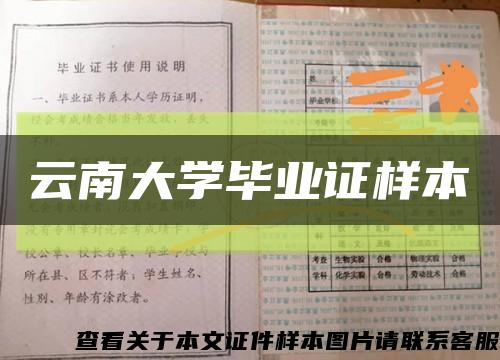 云南大学毕业证样本缩略图