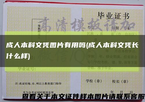 成人本科文凭图片有用吗(成人本科文凭长什么样)缩略图