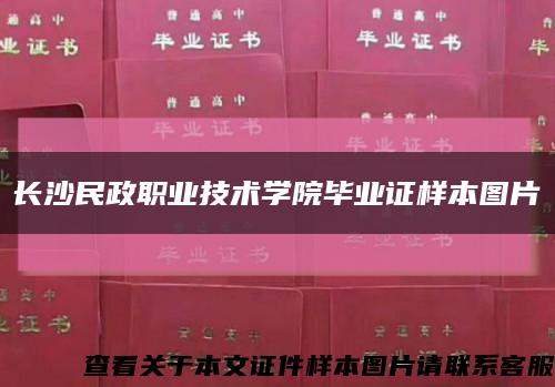 长沙民政职业技术学院毕业证样本图片缩略图