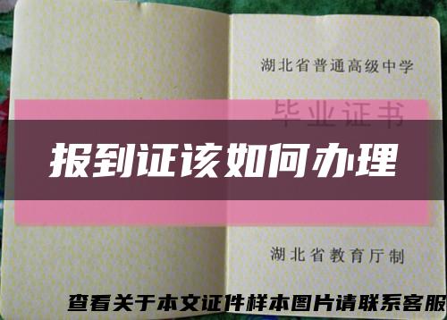 报到证该如何办理缩略图