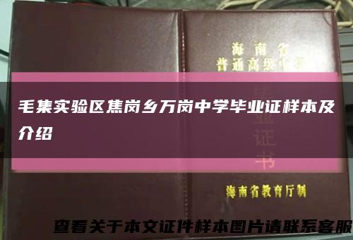 毛集实验区焦岗乡万岗中学毕业证样本及介绍缩略图