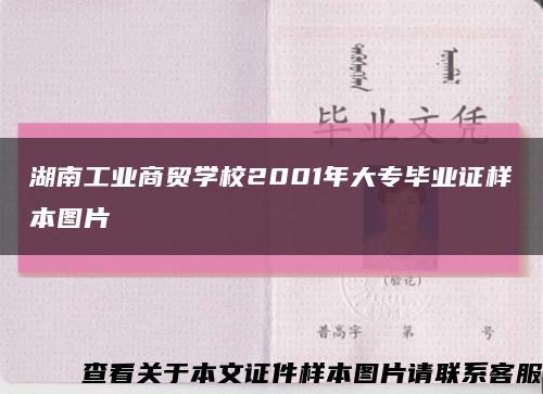 湖南工业商贸学校2001年大专毕业证样本图片缩略图