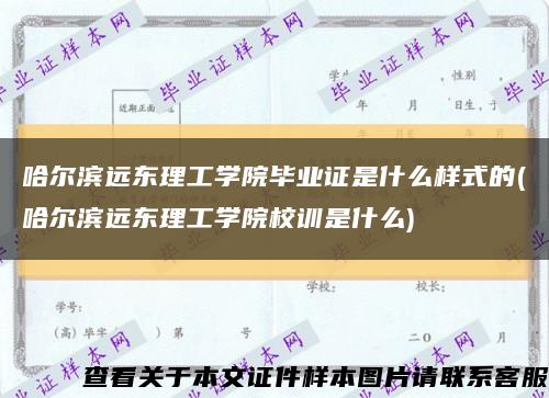 哈尔滨远东理工学院毕业证是什么样式的(哈尔滨远东理工学院校训是什么)缩略图