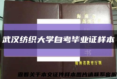 武汉纺织大学自考毕业证样本缩略图