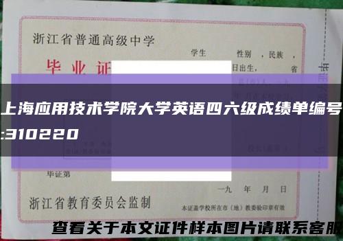 上海应用技术学院大学英语四六级成绩单编号:310220缩略图