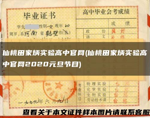 仙桃田家炳实验高中官网(仙桃田家炳实验高中官网2020元旦节目)缩略图