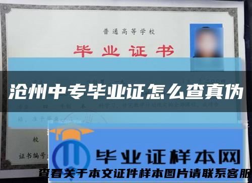 沧州中专毕业证怎么查真伪缩略图