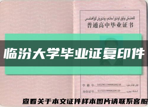 临汾大学毕业证复印件缩略图