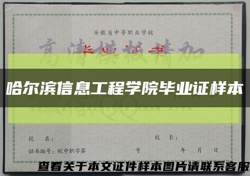 哈尔滨信息工程学院毕业证样本缩略图