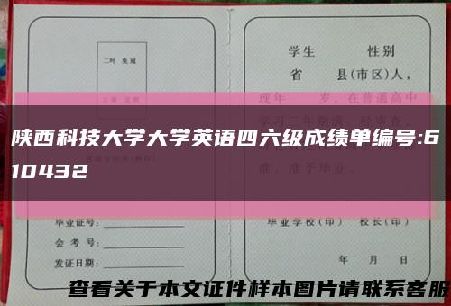 陕西科技大学大学英语四六级成绩单编号:610432缩略图