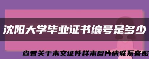 沈阳大学毕业证书编号是多少缩略图