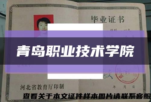 青岛职业技术学院缩略图