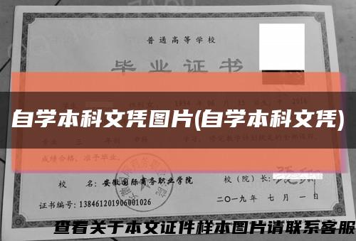 自学本科文凭图片(自学本科文凭)缩略图