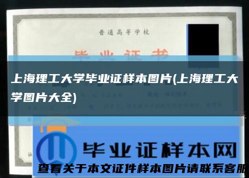 上海理工大学毕业证样本图片(上海理工大学图片大全)缩略图