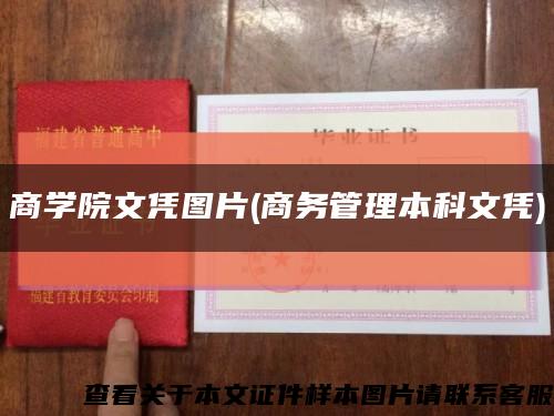 商学院文凭图片(商务管理本科文凭)缩略图