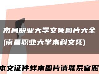 南昌职业大学文凭图片大全(南昌职业大学本科文凭)缩略图