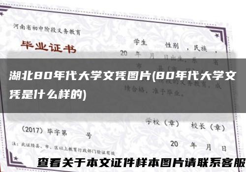 湖北80年代大学文凭图片(80年代大学文凭是什么样的)缩略图