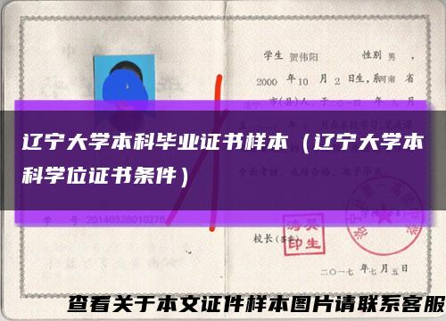 辽宁大学本科毕业证书样本（辽宁大学本科学位证书条件）缩略图