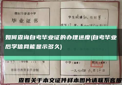 如何查询自考毕业证的办理进度(自考毕业后学信网能显示多久)缩略图