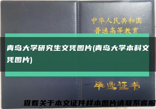 青岛大学研究生文凭图片(青岛大学本科文凭图片)缩略图