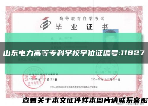 山东电力高等专科学校学位证编号:11827缩略图