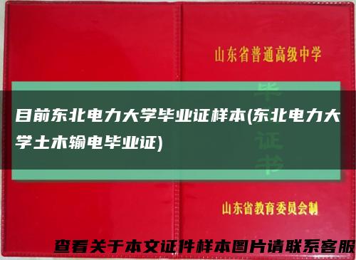 目前东北电力大学毕业证样本(东北电力大学土木输电毕业证)缩略图