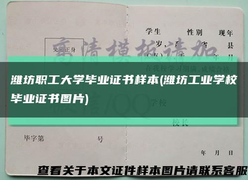 潍坊职工大学毕业证书样本(潍坊工业学校毕业证书图片)缩略图