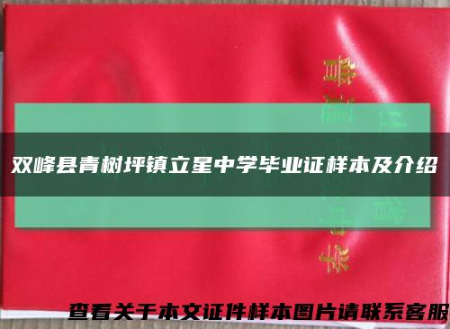 双峰县青树坪镇立星中学毕业证样本及介绍缩略图